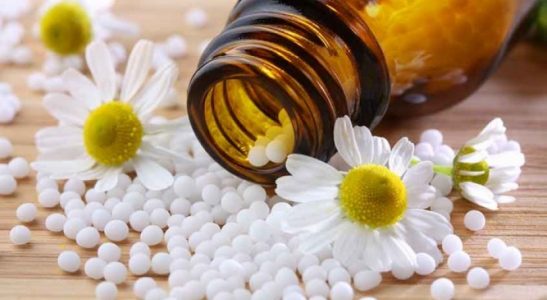 remedios_homeopaticos-710x434